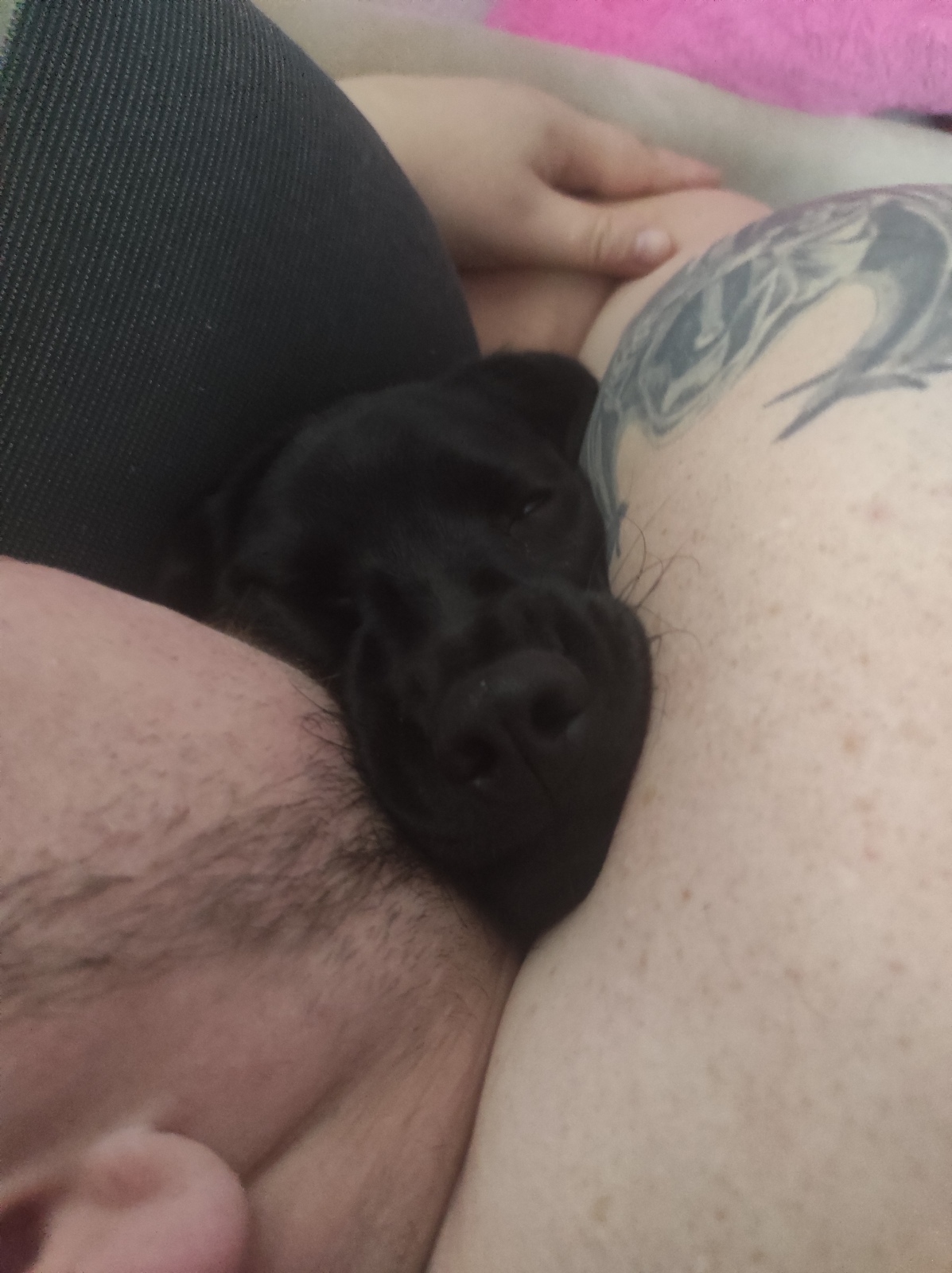 Как решится? Или любовь важнее себя!!!