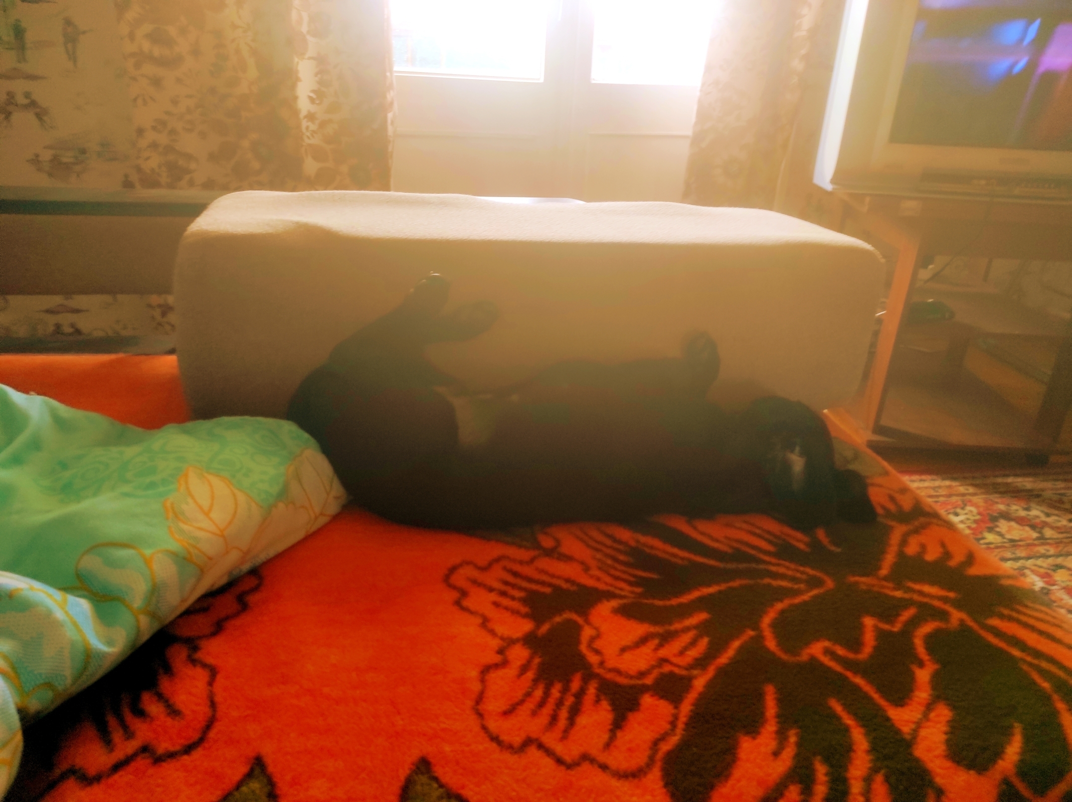 Как решится? Или любовь важнее себя!!!