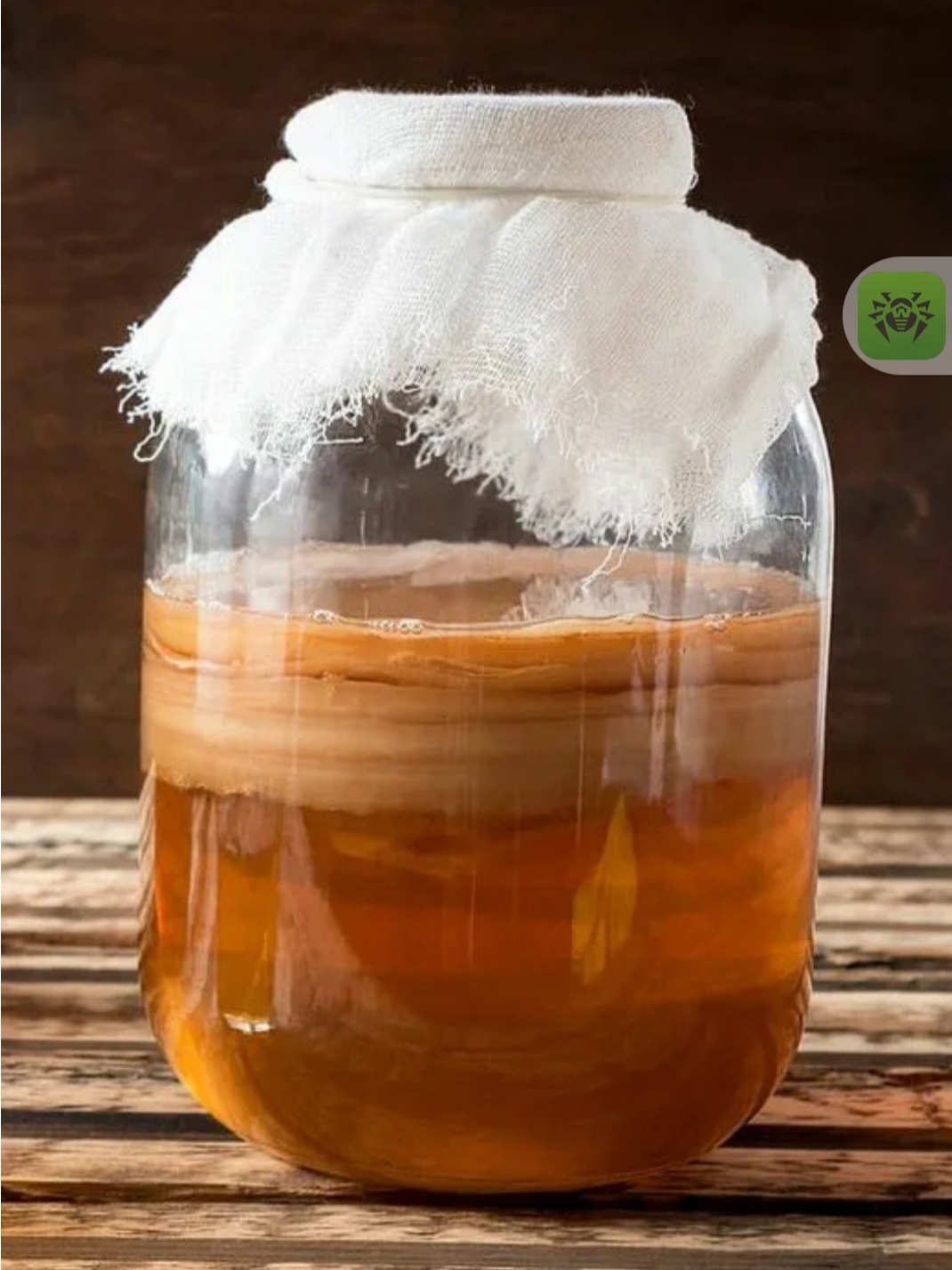 Чайный гриб