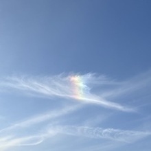 Олеся, г. Губкин