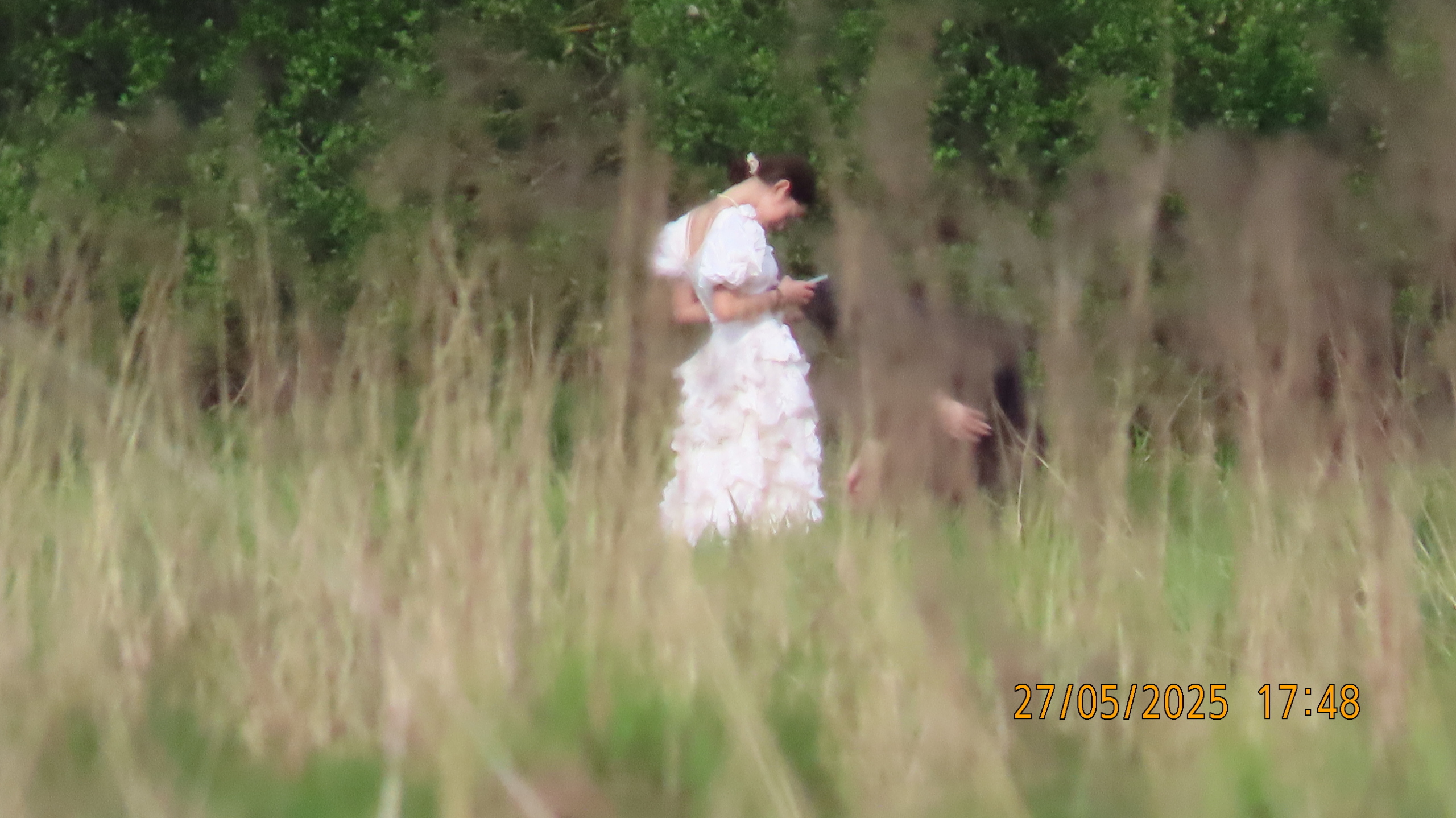 О шарадах и ребусниках.