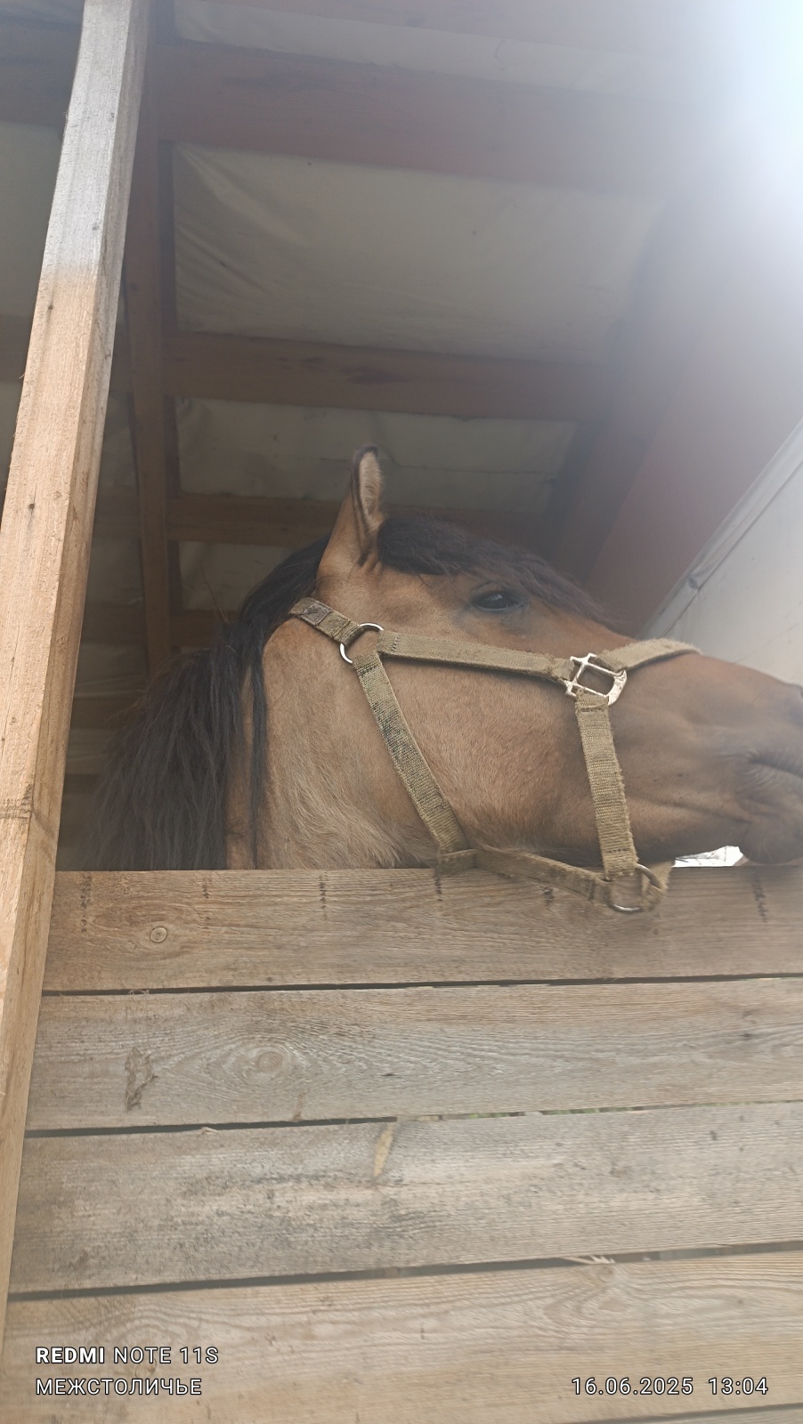 О шарадах и ребусниках.