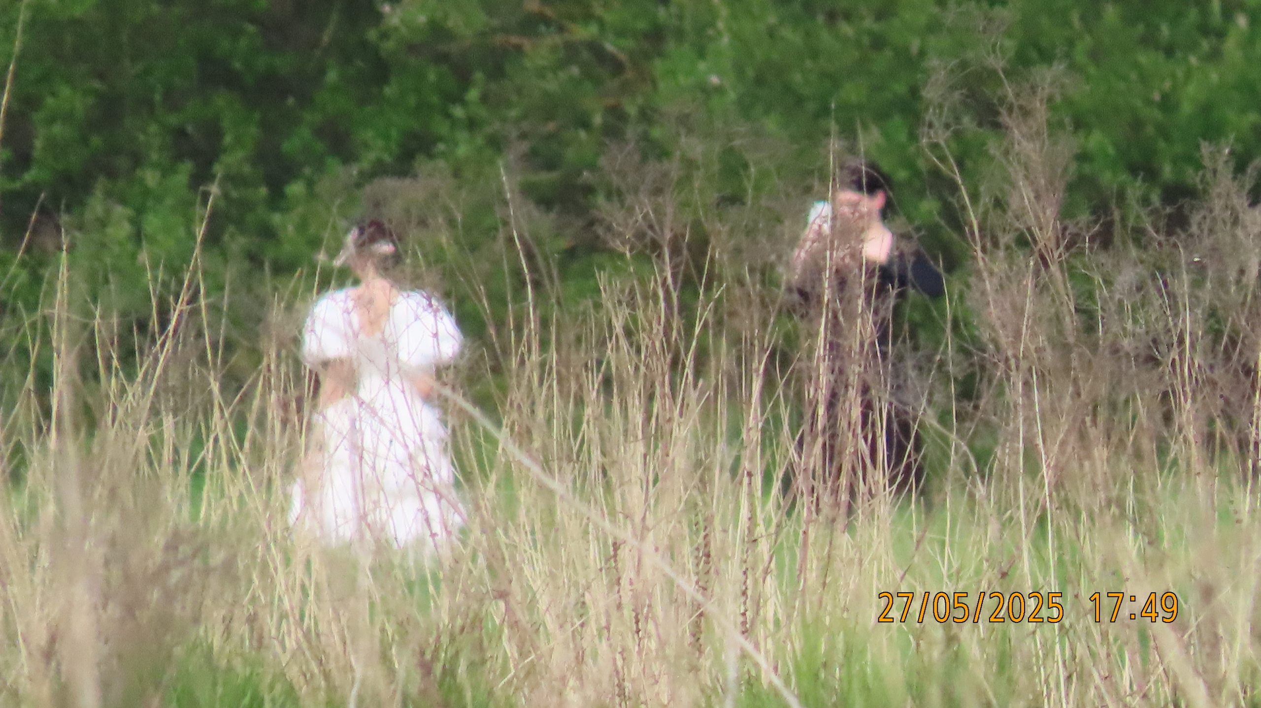 О шарадах и ребусниках.