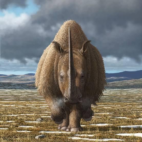 Воскрешение исчезнувших: 5 вымерших животных, которых наука пытается вернуть к жизни