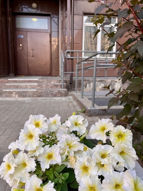 Мораторий на взыскание неустойки для застройщиков продлён до конца 2025 года: бизнесу дали ещё год передышки?