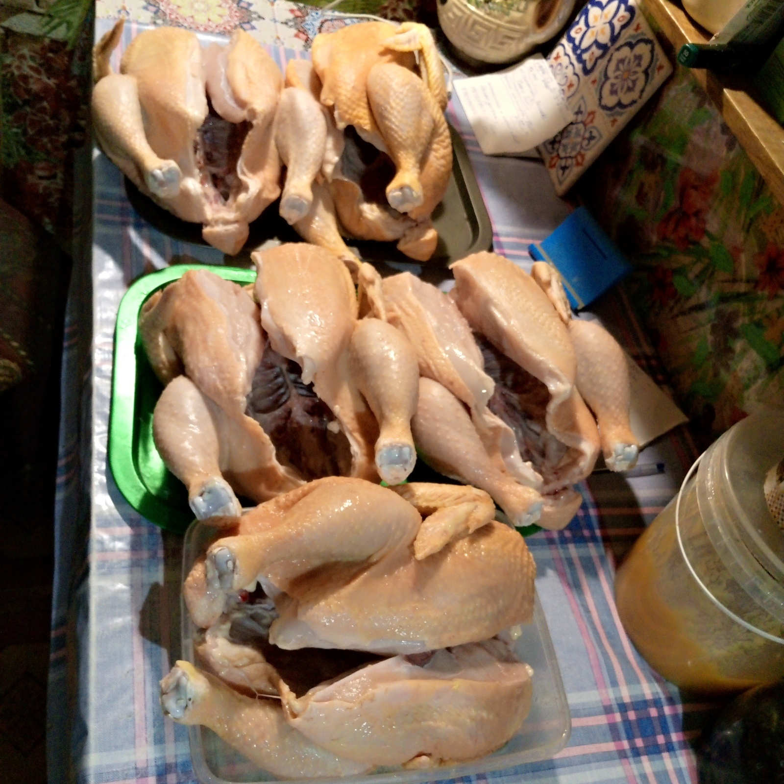 Ну вот и подросли бройлеры .