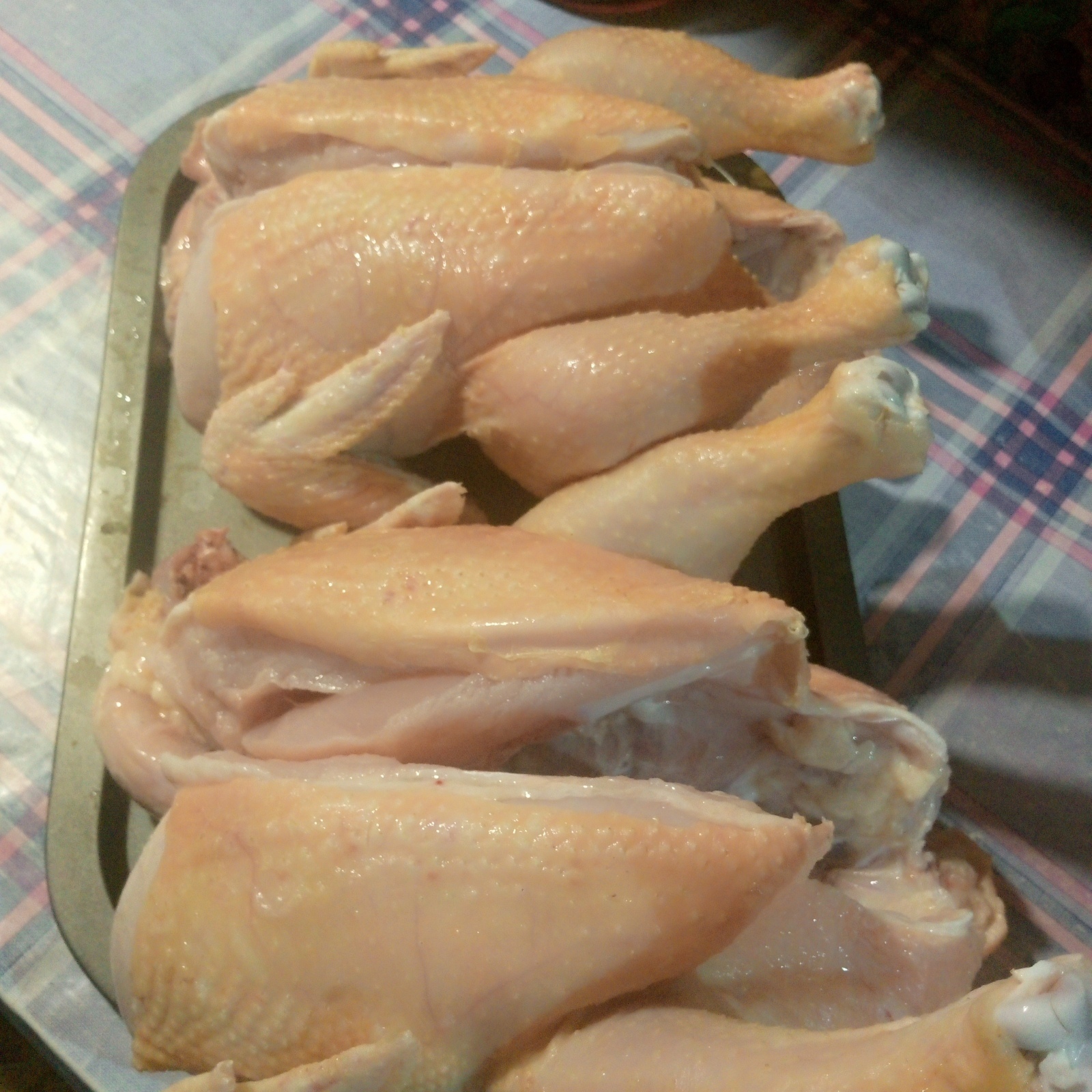 Ну вот и подросли бройлеры .