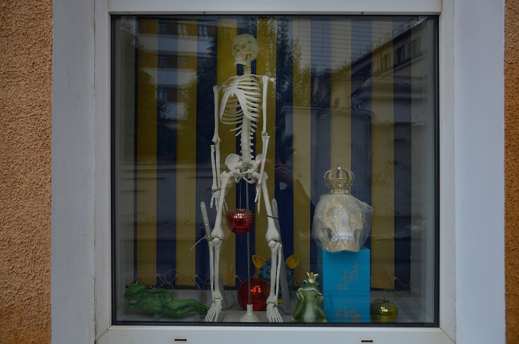 Калуга: заметки на бегу