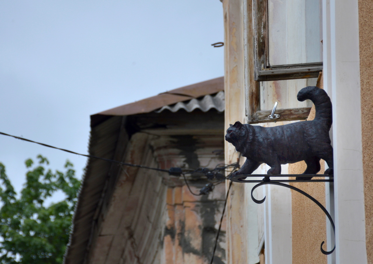 Калуга: заметки на бегу