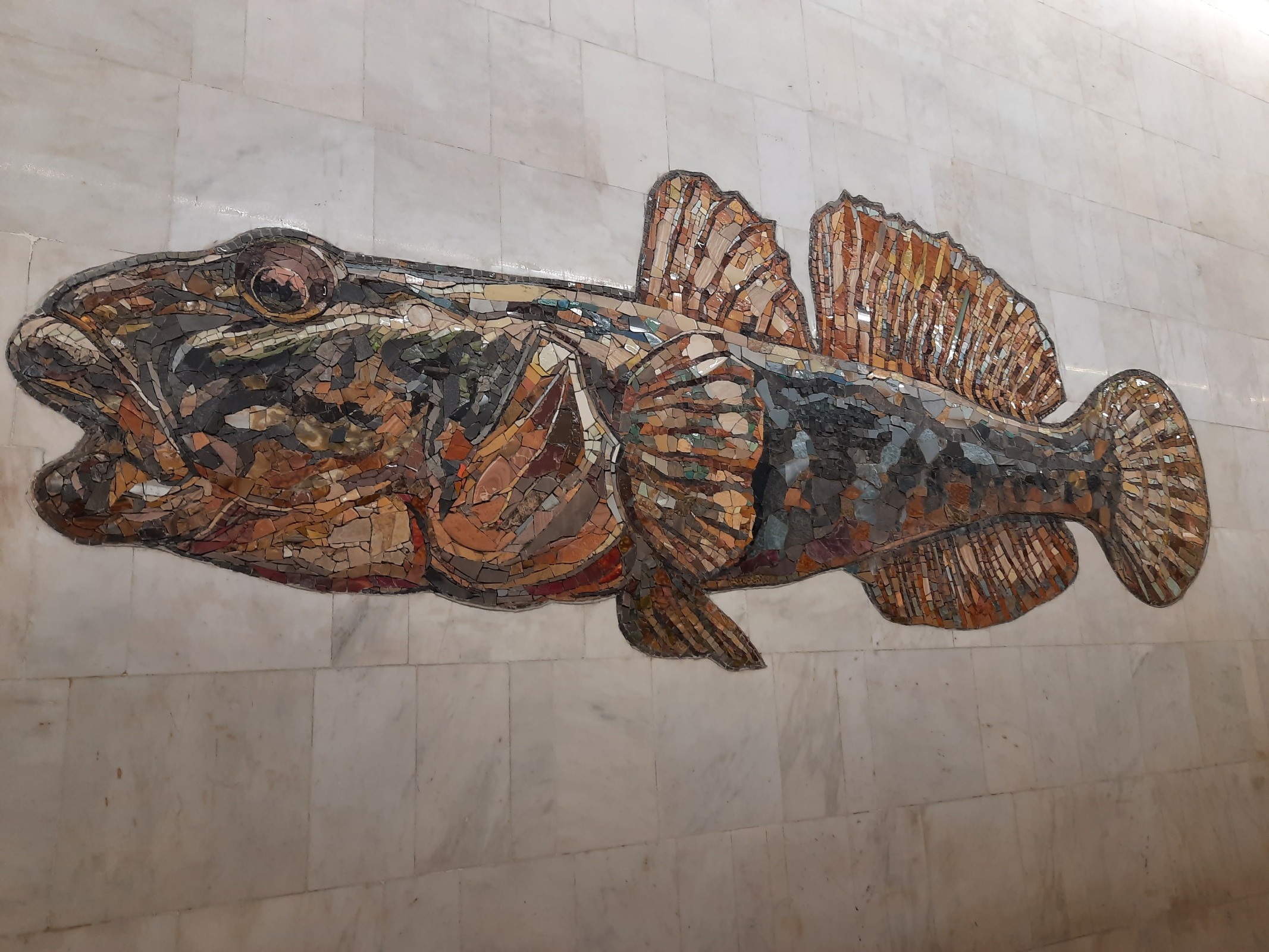 Москва-река и её обитатели в метро