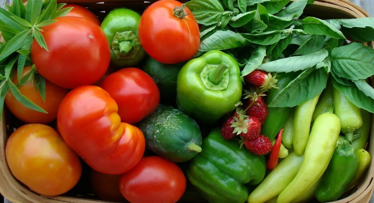 Умные помощники в саду: Как нейросети меняют мир садоводства и огородничества