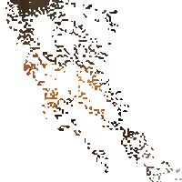 animiertes-zwinkern-bild-0014.gif