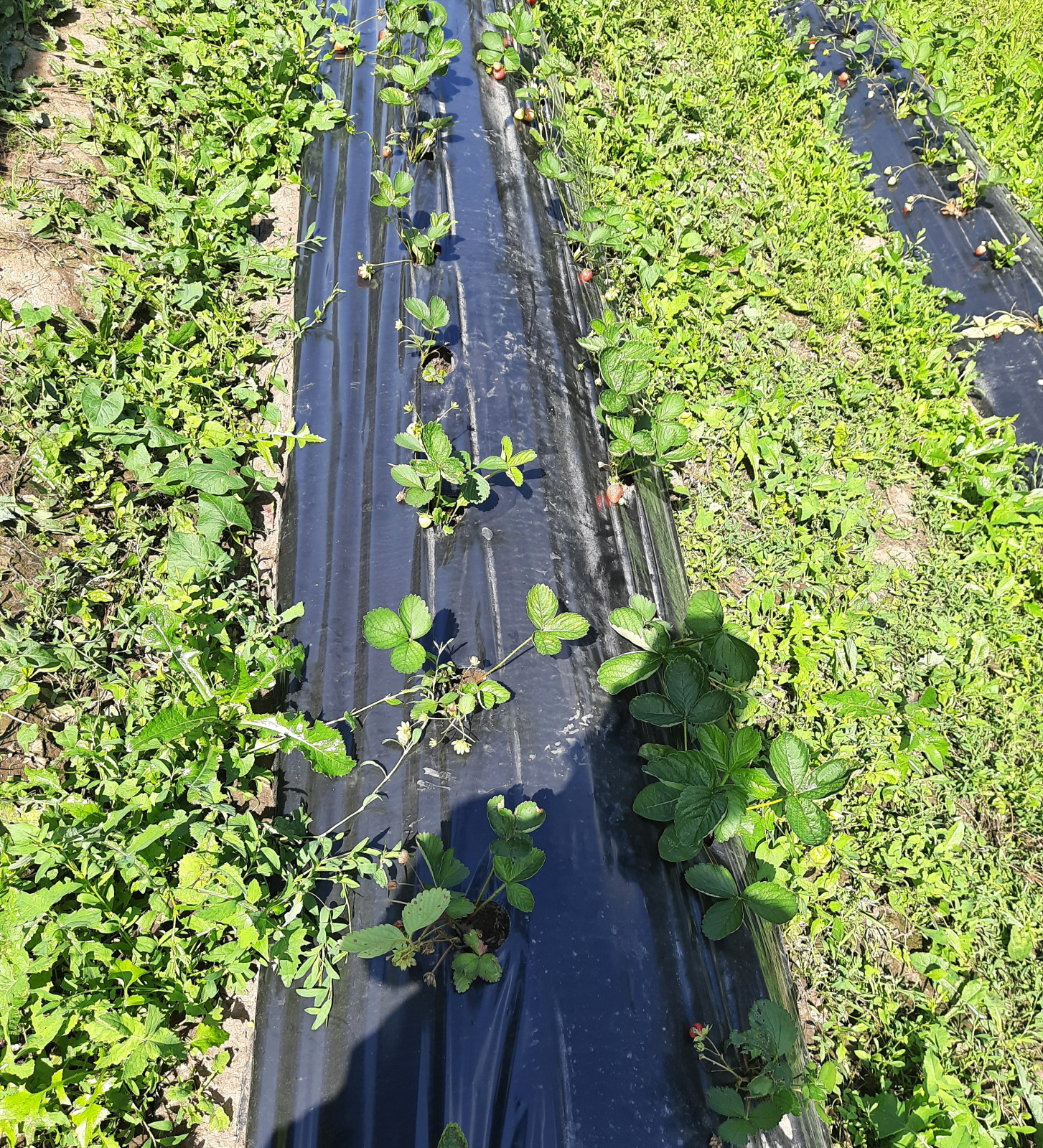 Интересное место по дороге в деревню