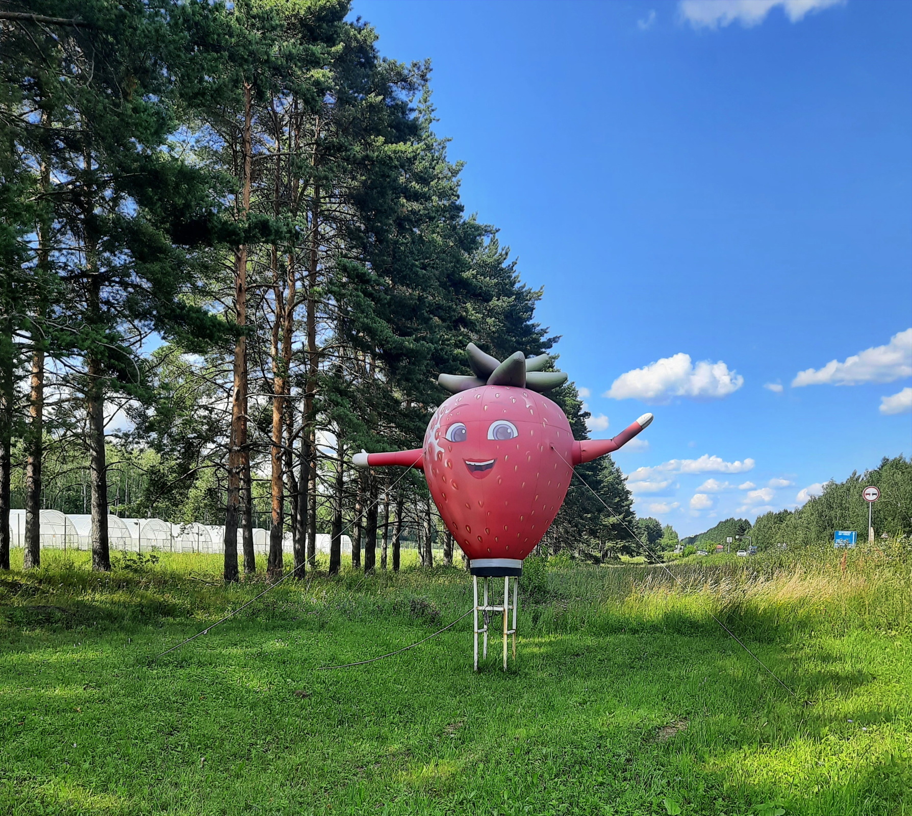 Интересное место по дороге в деревню
