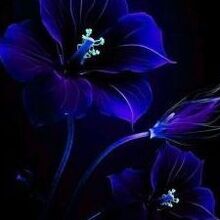 Пользователь Наталья, г. Пермь