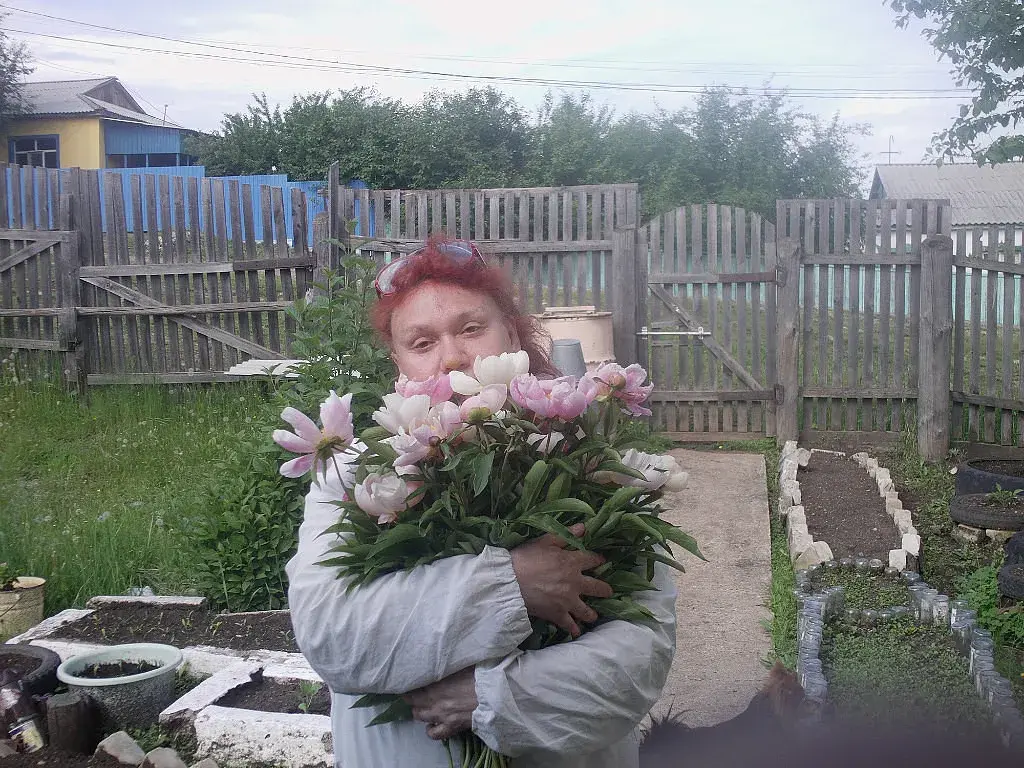 🟩Пионы. Марьины коренья. Мощный анальгетик в народной медицине. Здоровье и красота