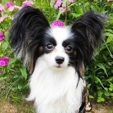 Марина, г. Тула