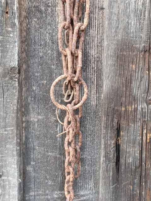 Джанго освобождённый: В Клину семья фермеров похитила работника и держала его на цепи. Он смог сбежать.