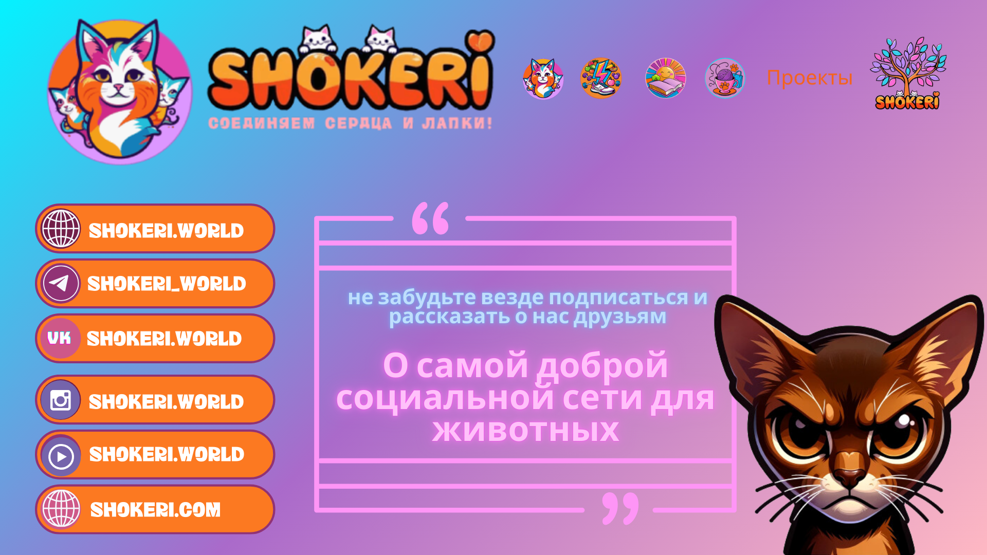 🌞Хайп на розовом или "Я мыслю, а не попадаюсь в ловушки мышления и упрощённую эвристику "