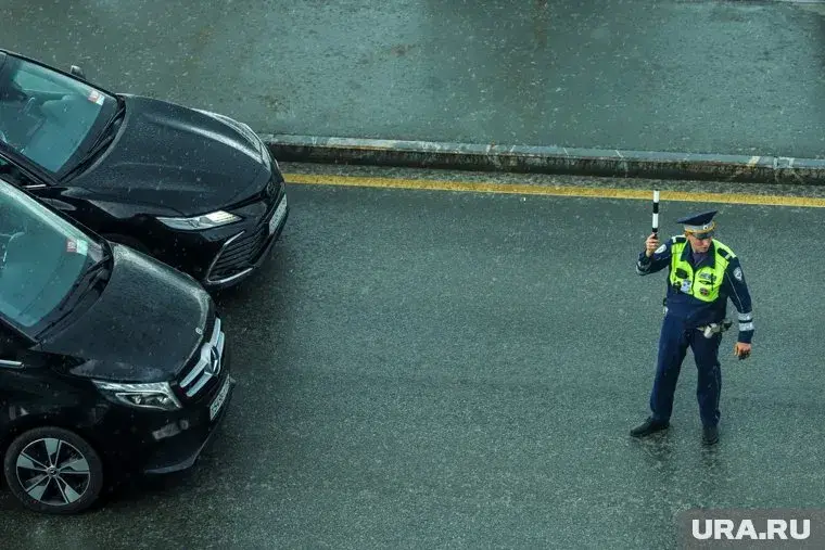 Число смертей в ДТП растет по вине мигрантов