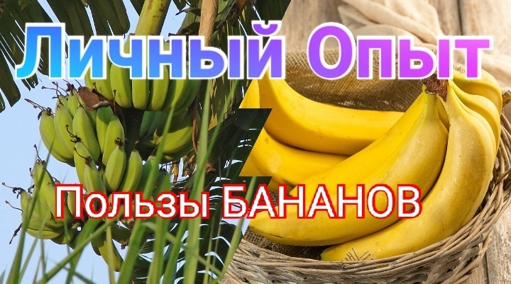 Банановая история: как один фрукт изменил мою жизнь. История и моей жизни.