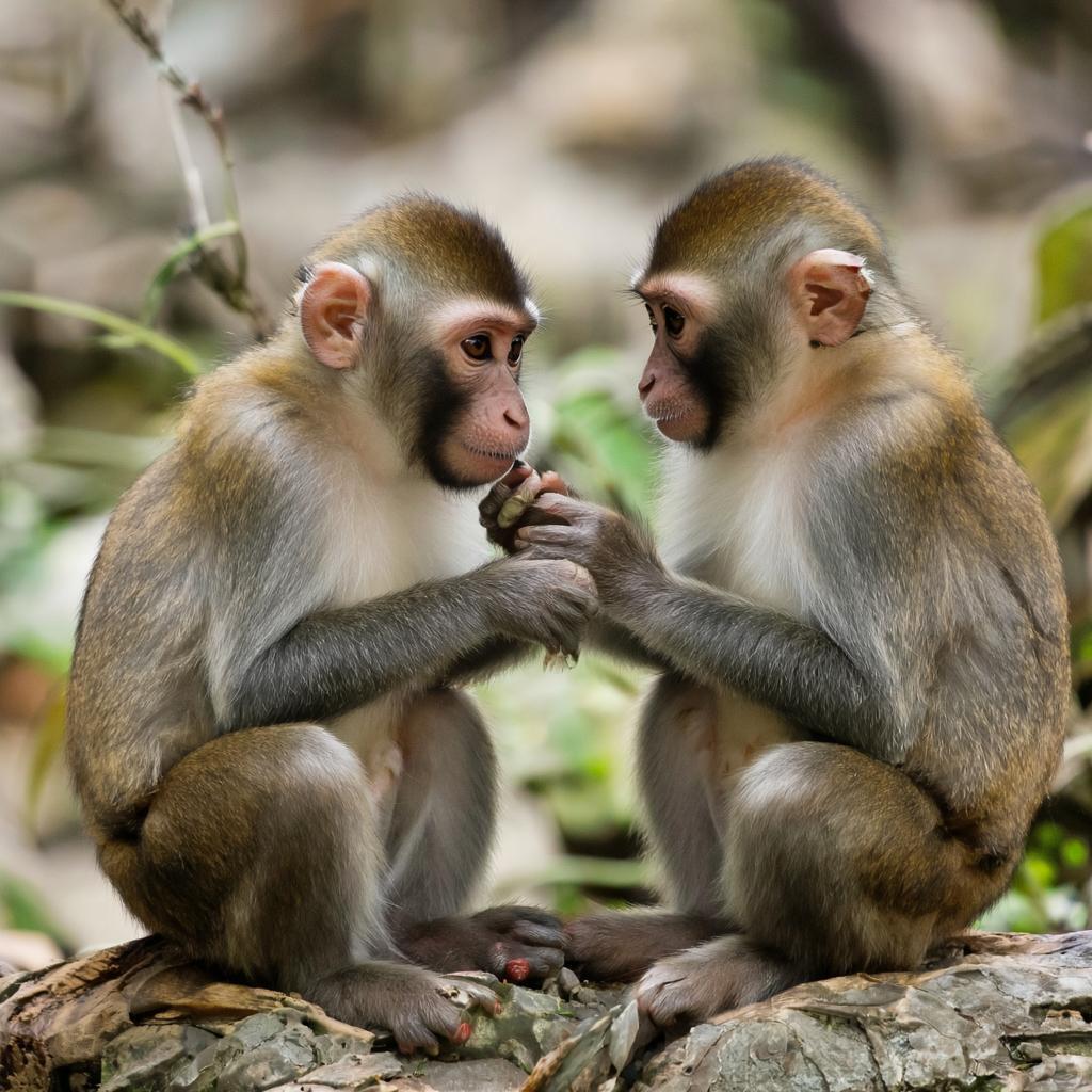 Притча об ищущем