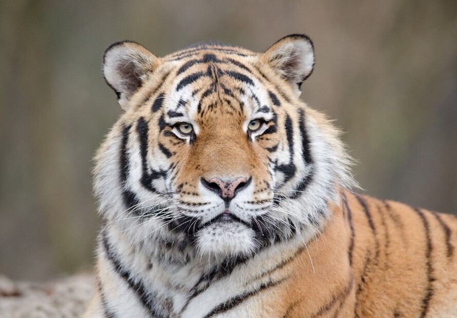 Как я кардинально изменил свою жизнь, приключения в Уссурийске ч. 2