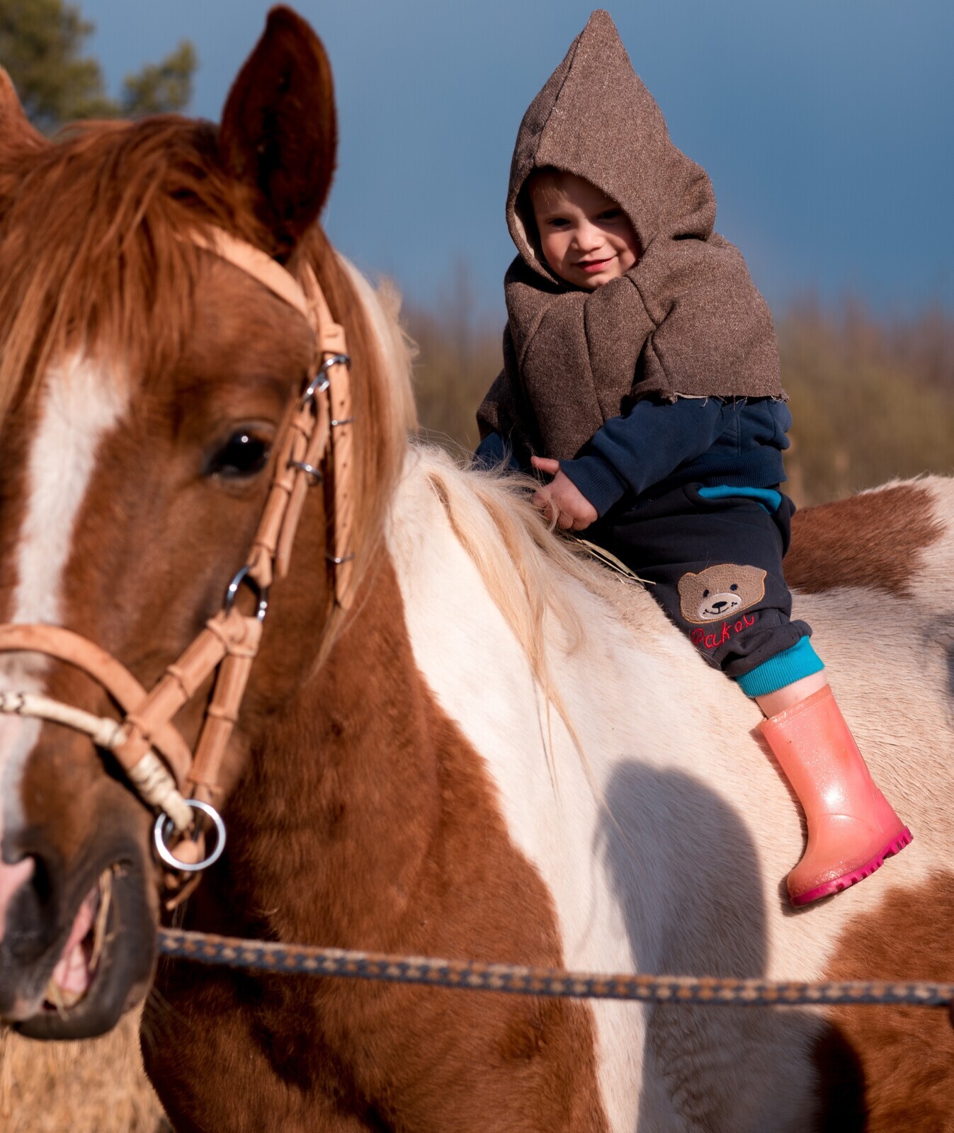 О юбилеях и подарках.