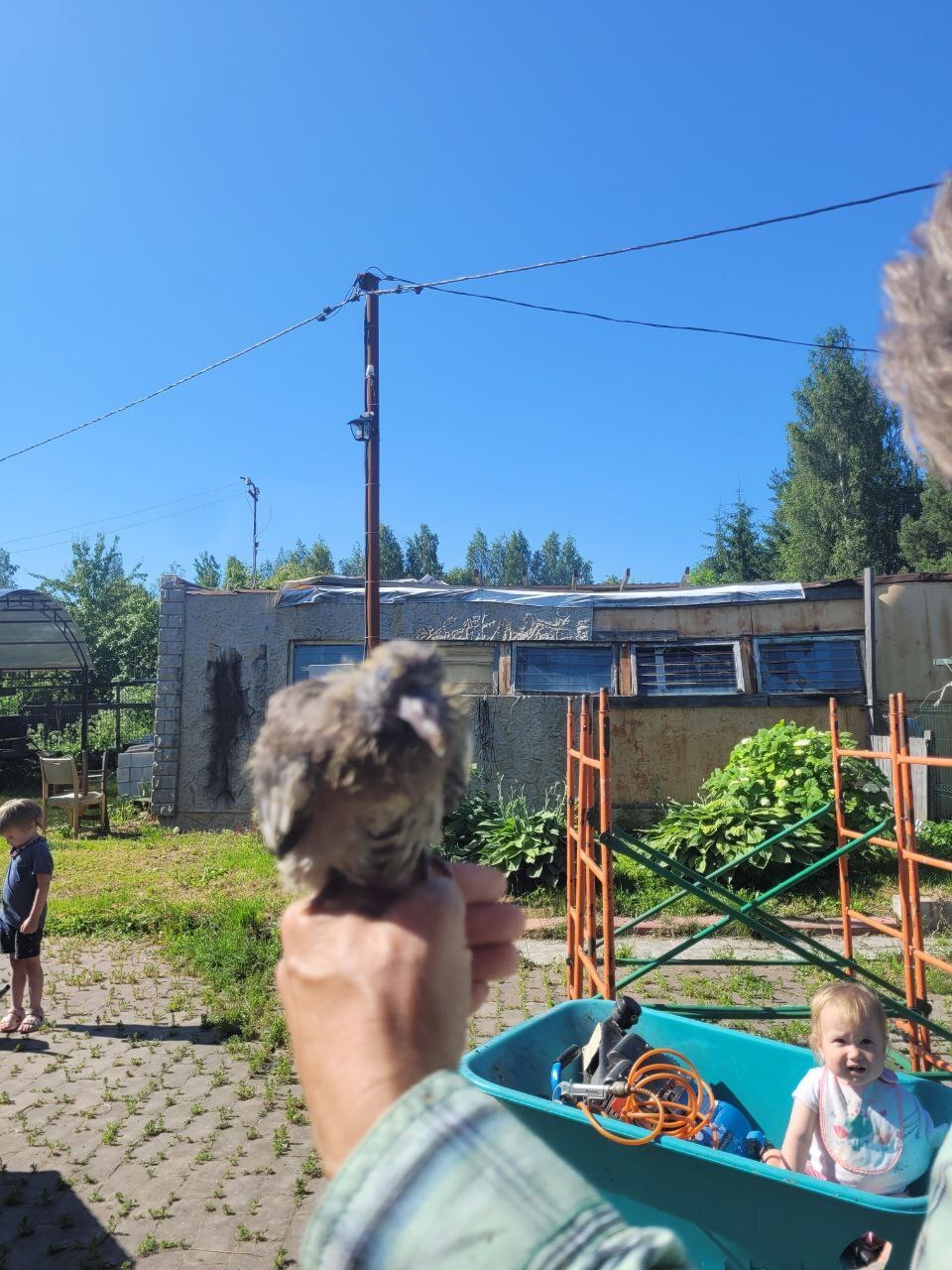 О юбилеях и подарках.