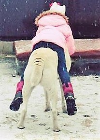 О юбилеях и подарках.