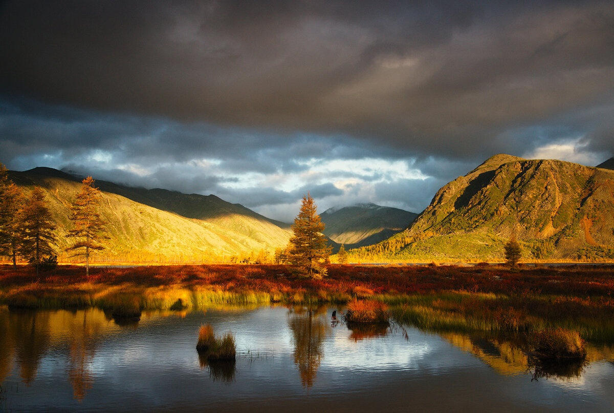 📌 Земельный компас: выбираем правильный путь использования участка