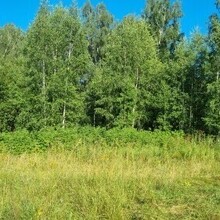 Арсений, г. Владивосток