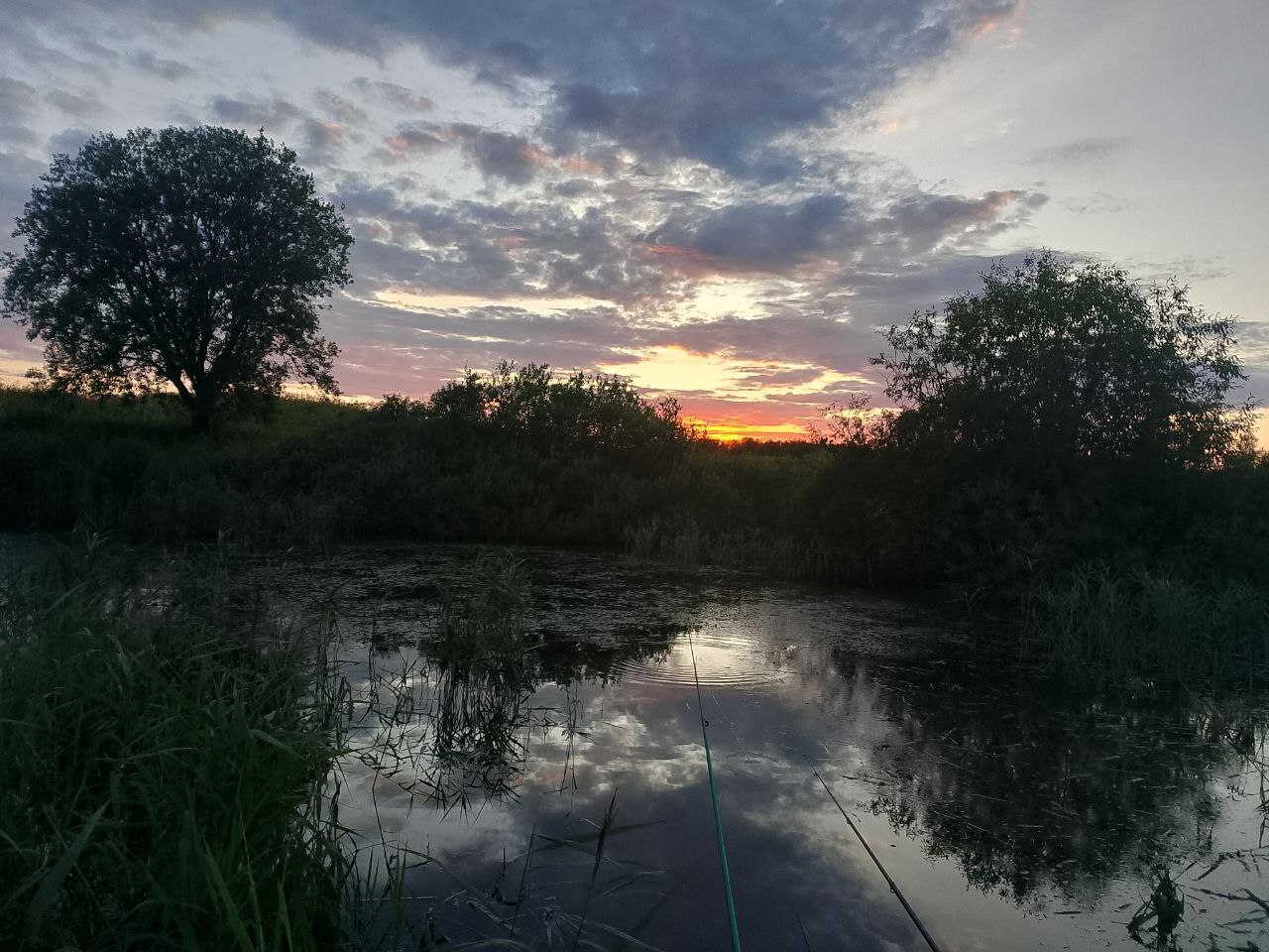 Чувства врут, но это нормально