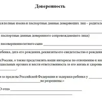 kakie-nuzhny-dokumenty-esli-rebenok-edet-bez-roditelej-screenshot3.jpg.webp