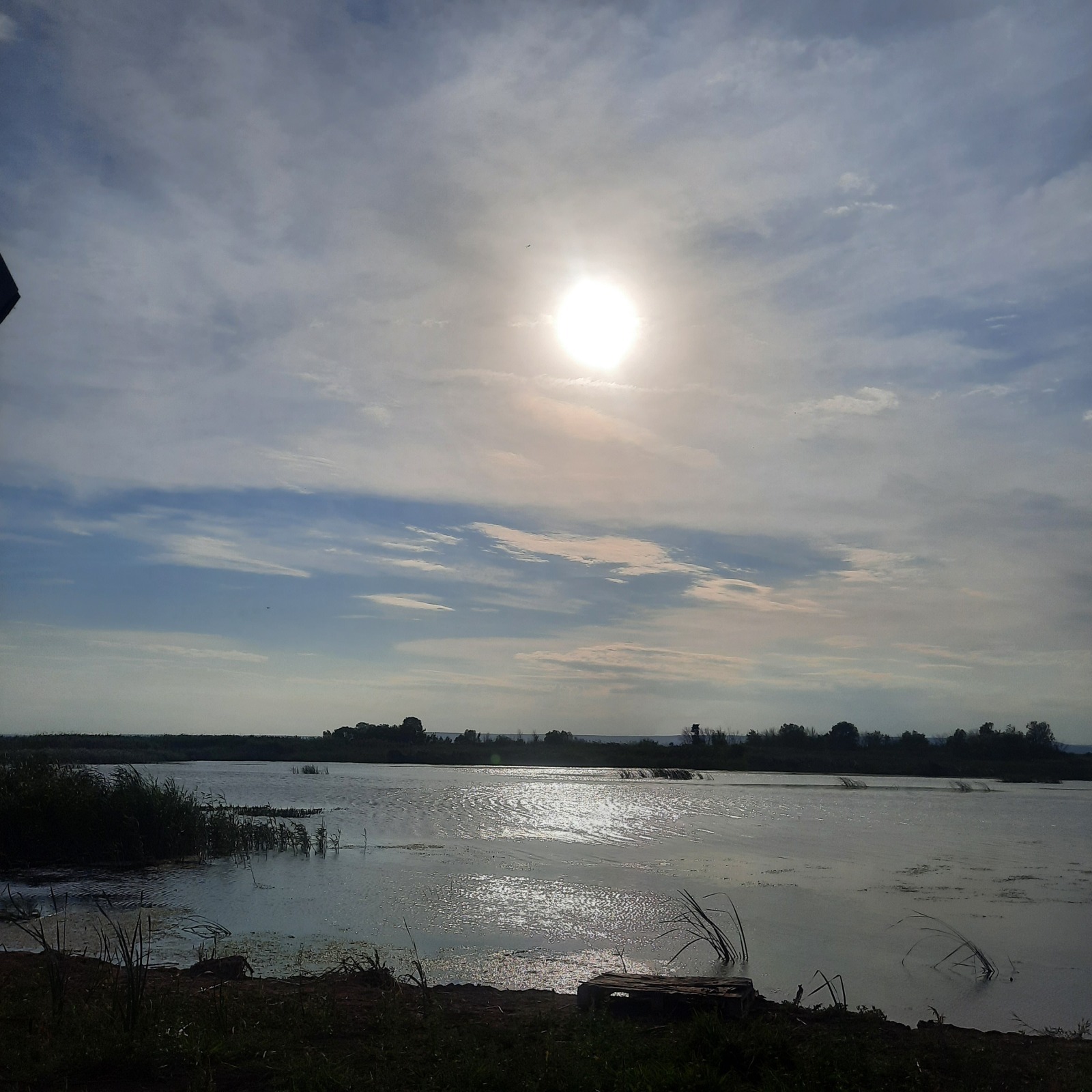 Должен ли мужчина на стадии "ухаживания и встречаний"