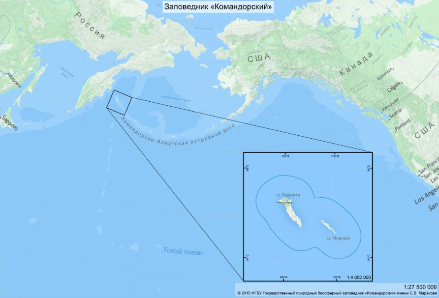 «Это вам не Аляска». Захарова раскритиковала идею США о покупке Командорских островов