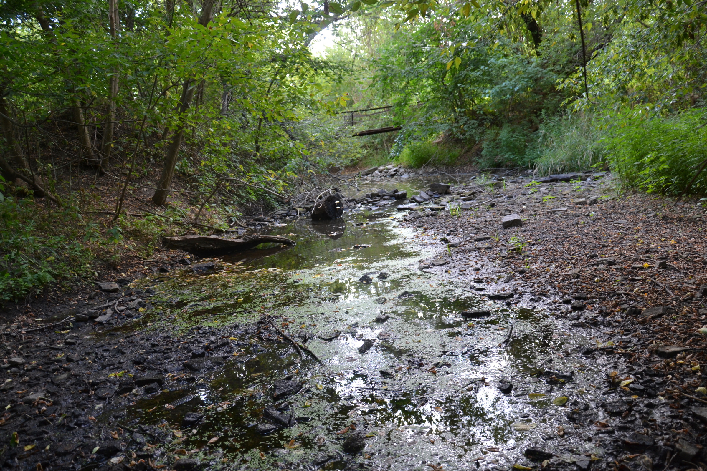 Невидимая экологическая катастрофа в Луганске