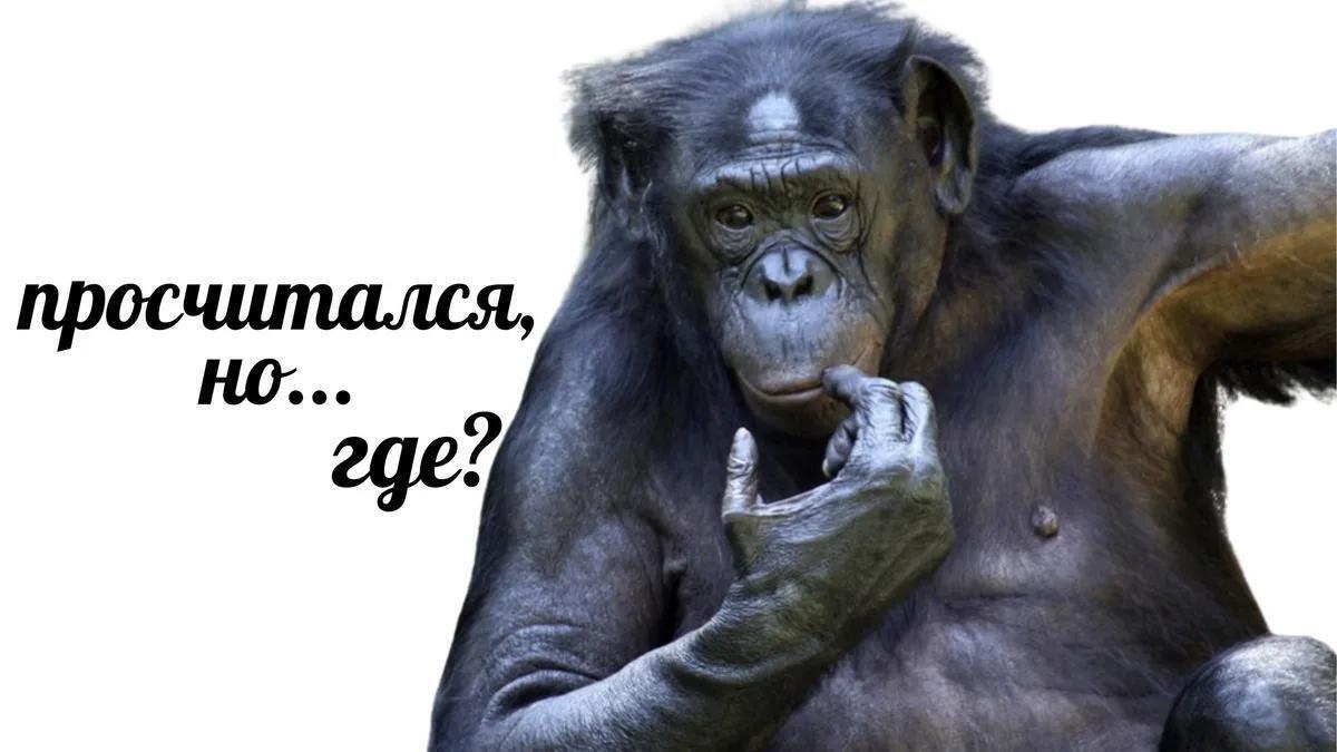 «ВкусВилл»: покупатель с мефедроном и агрессивным поведением