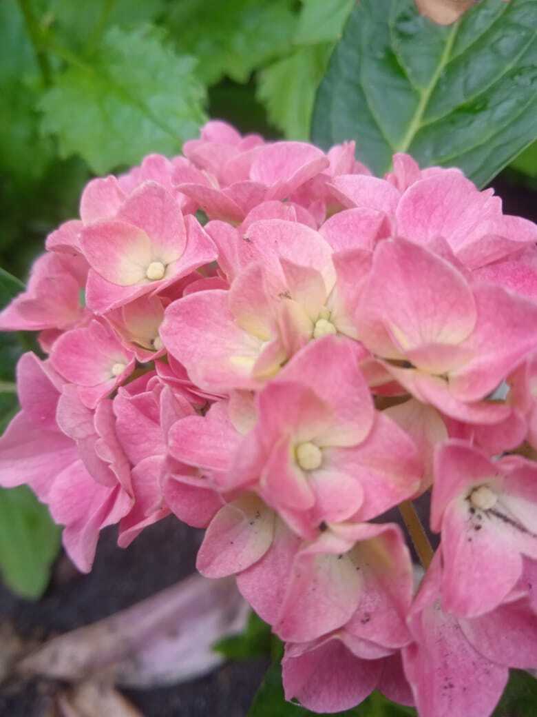 Добрая семейная традиция