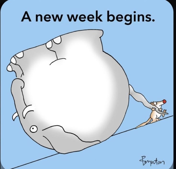 Береги своего СЛОНА!💗