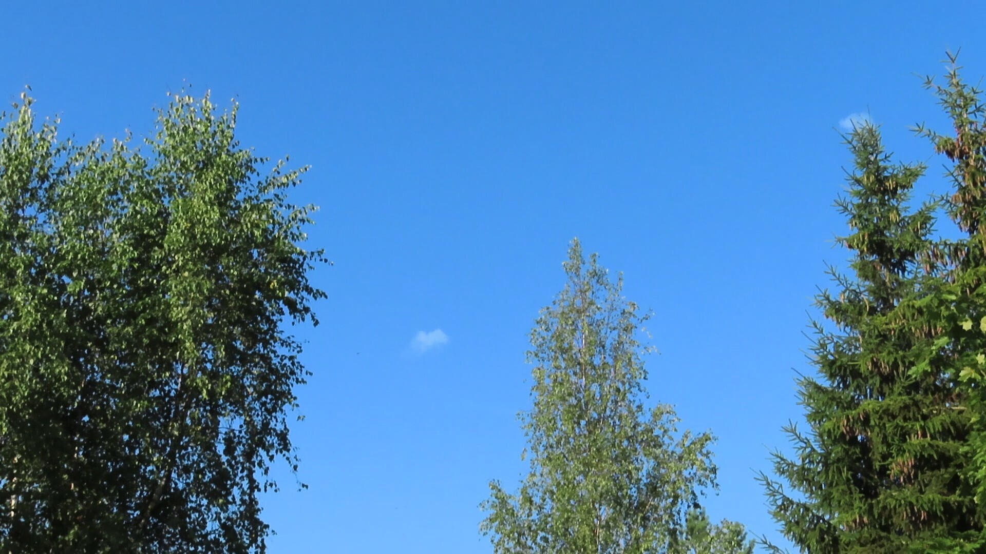 Наивность, безрассудство или тонкий расчёт?