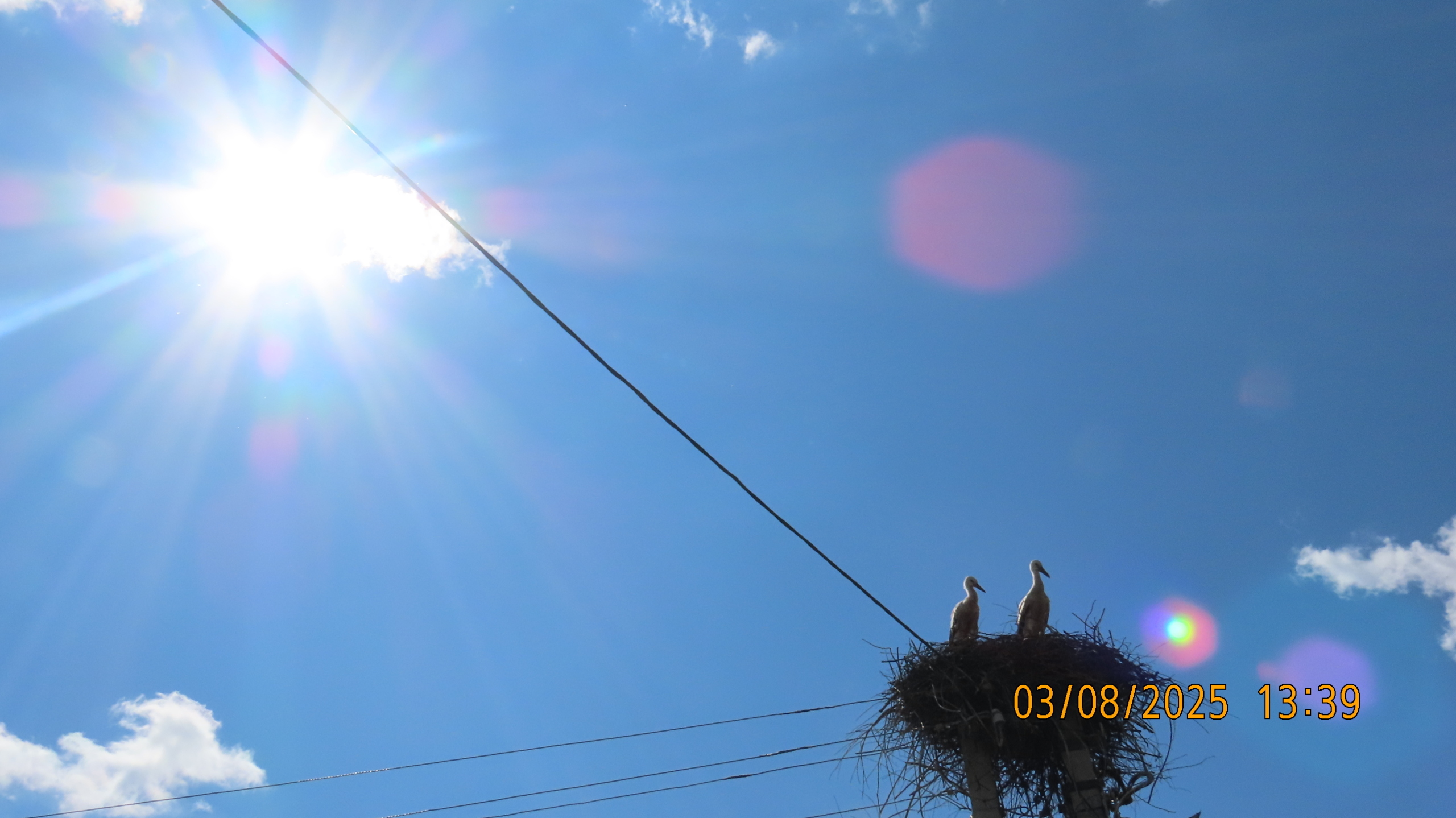 Наивность, безрассудство или тонкий расчёт?