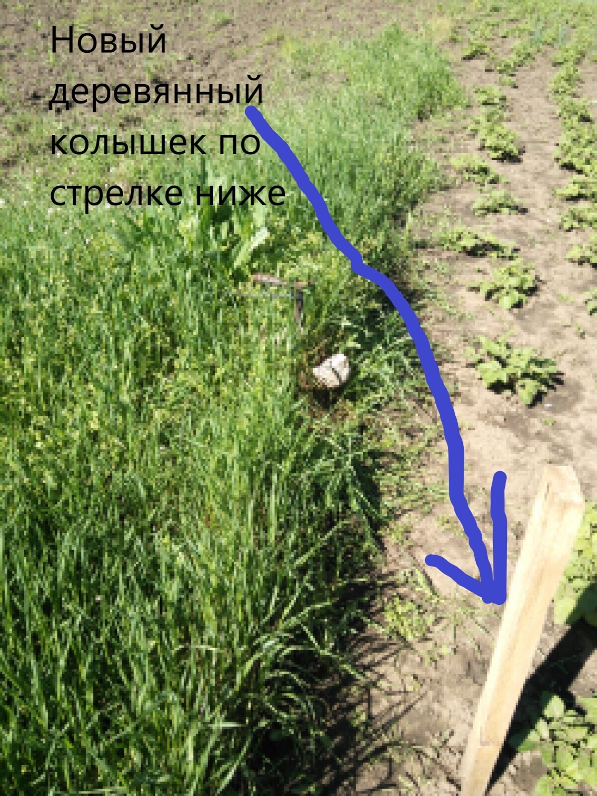 Можно ли использовать в суде факт места рождения против того, кто хочет отхватить от нашего земельного участка квадратные метры?