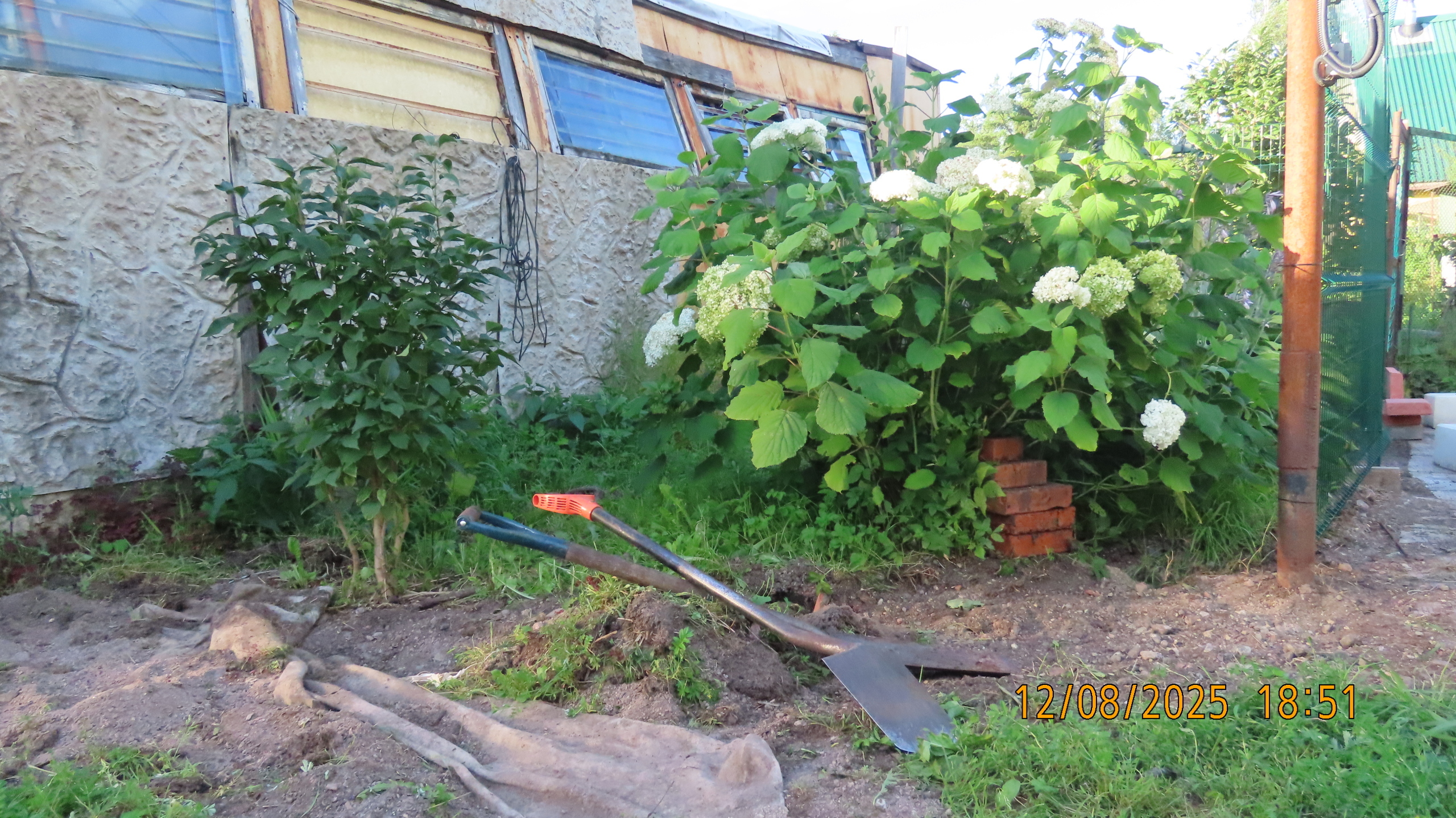 Утренние новости 12 августа 2025 года как повод удивиться.