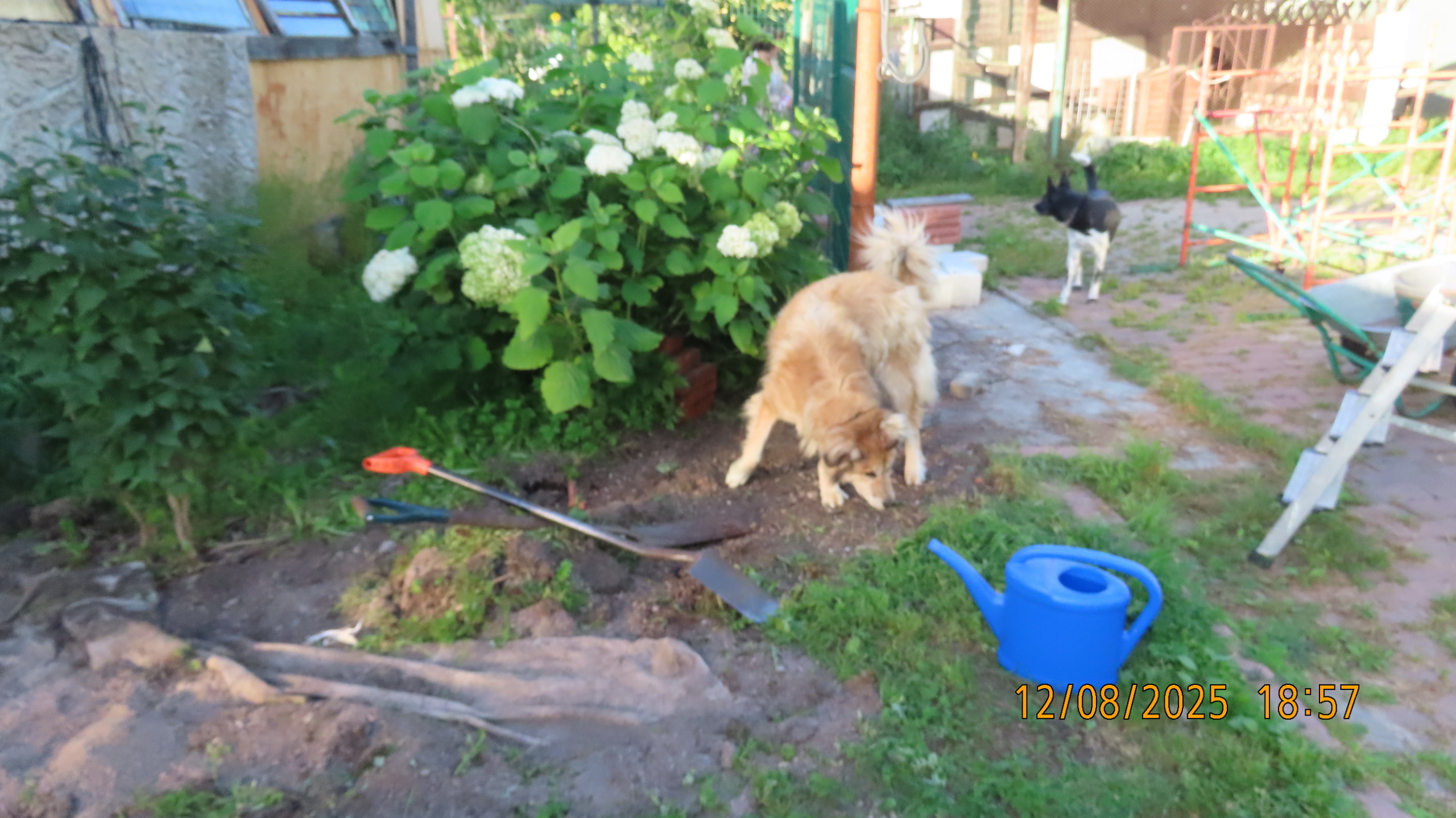 Утренние новости 12 августа 2025 года как повод удивиться.