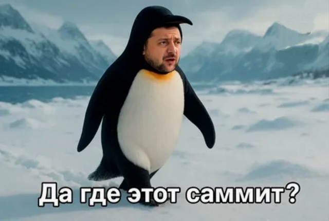 Весёлые картинки про саммит на Аляске, Путина и Трампа