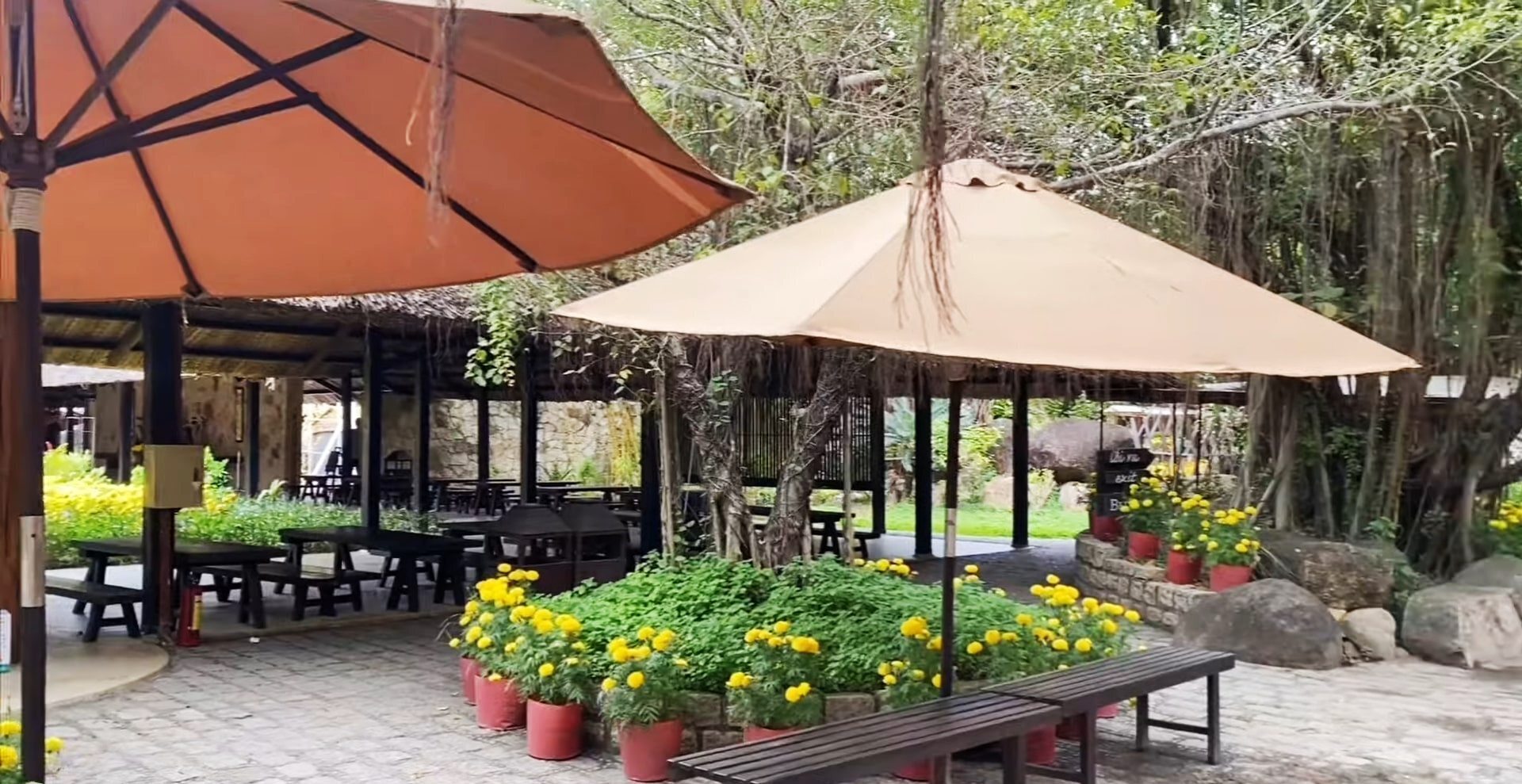 Спа на природе: полный обзор горячих источников под Нячангом