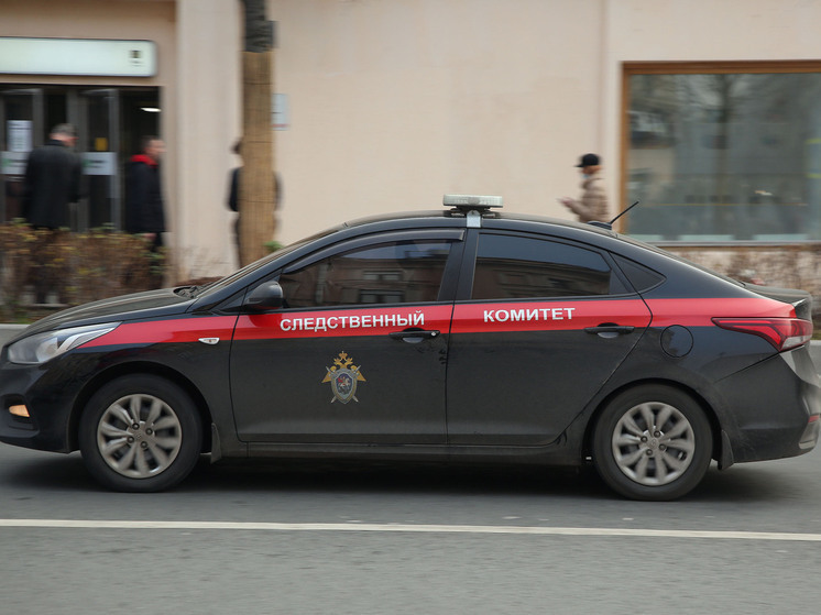 Житель Кузбасса получил 13 лет строгого режима за изнасилование падчерицы