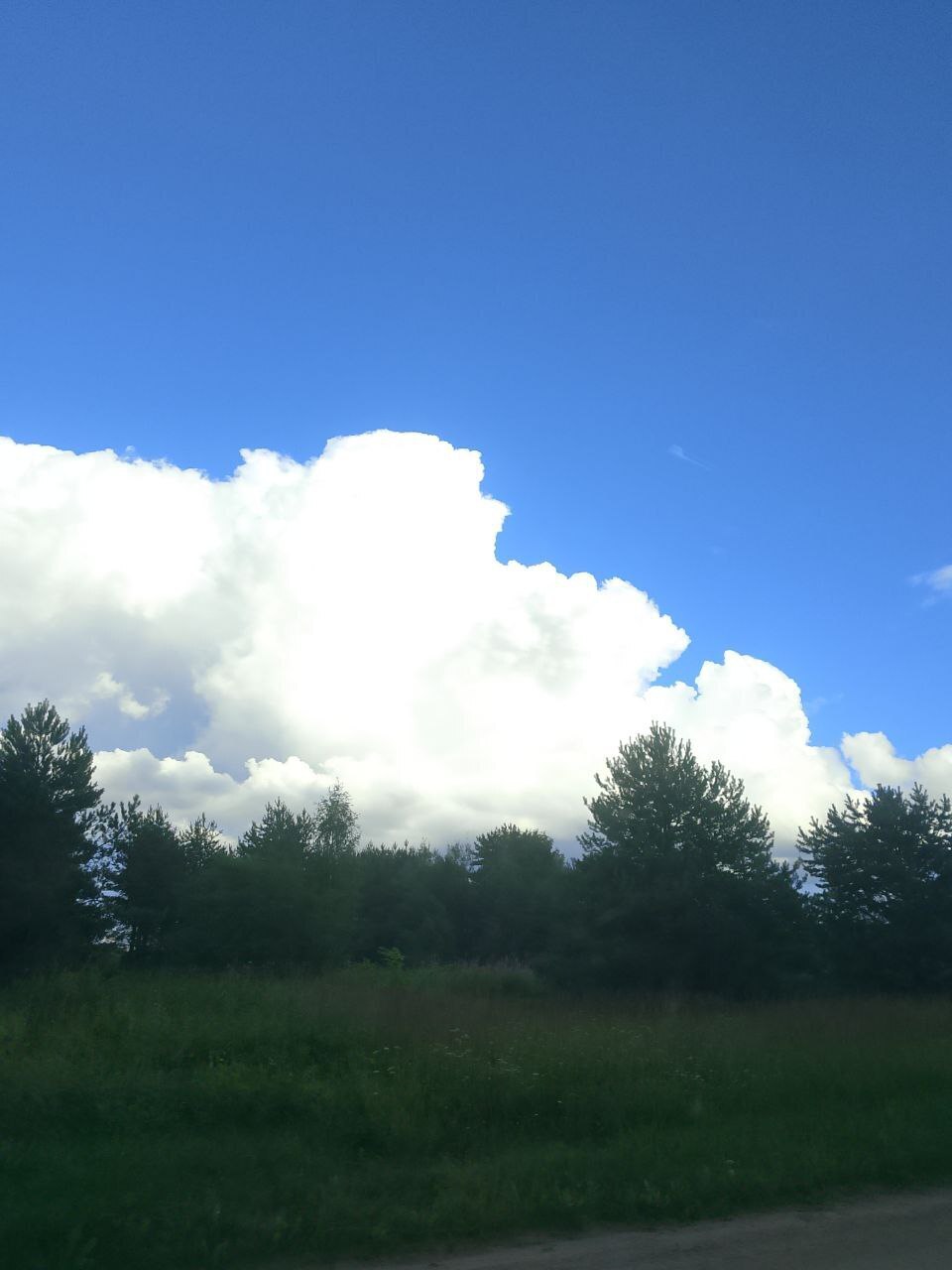 Фоновая тревога и как с ней бороться?