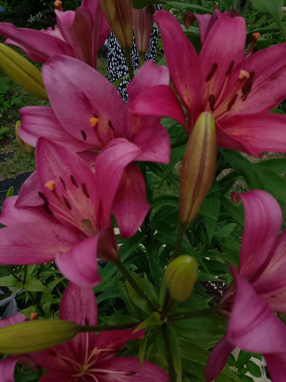 12 сентября - День баланса, творчества, решения проблем